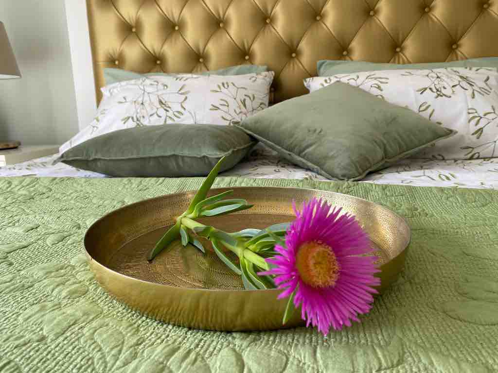 Casa Lucentum, Torrevieja