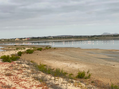 Flamingo Lagoon, Torrevieja