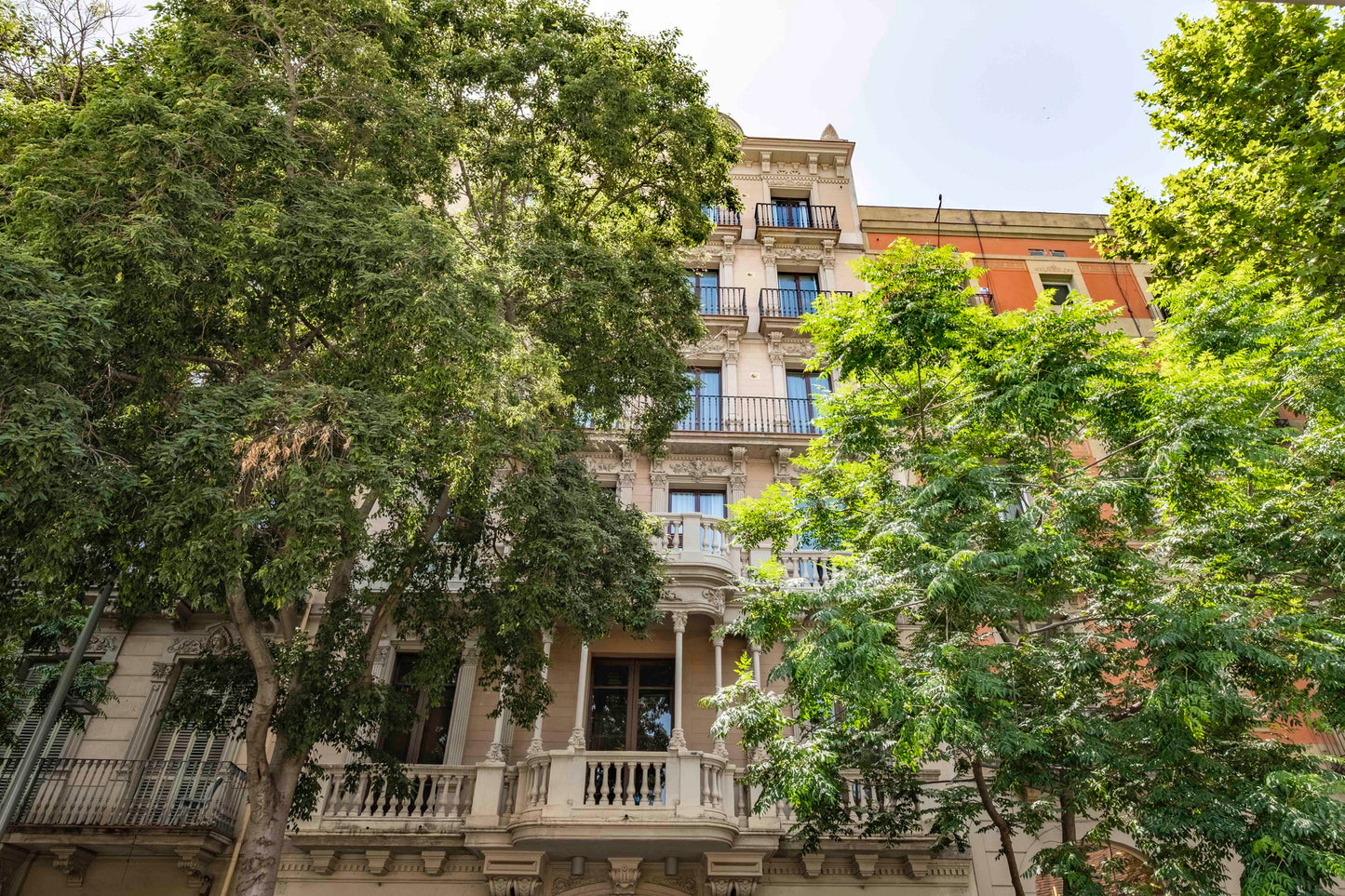 Newly renovated apartment, bright, trendy neighborhood, Barcelona