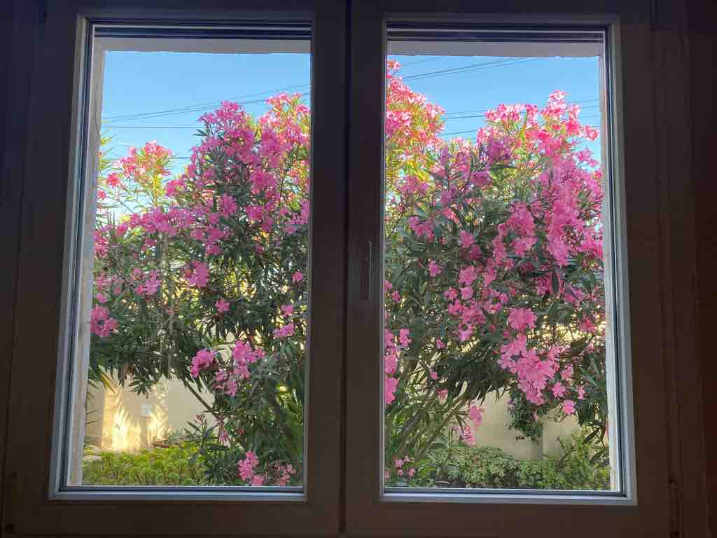 Casa Lucentum, Torrevieja