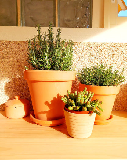 Appartement la Línea Azul, Calpe