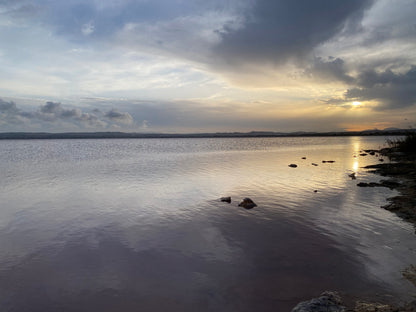 Flamingo Lagoon, Torrevieja