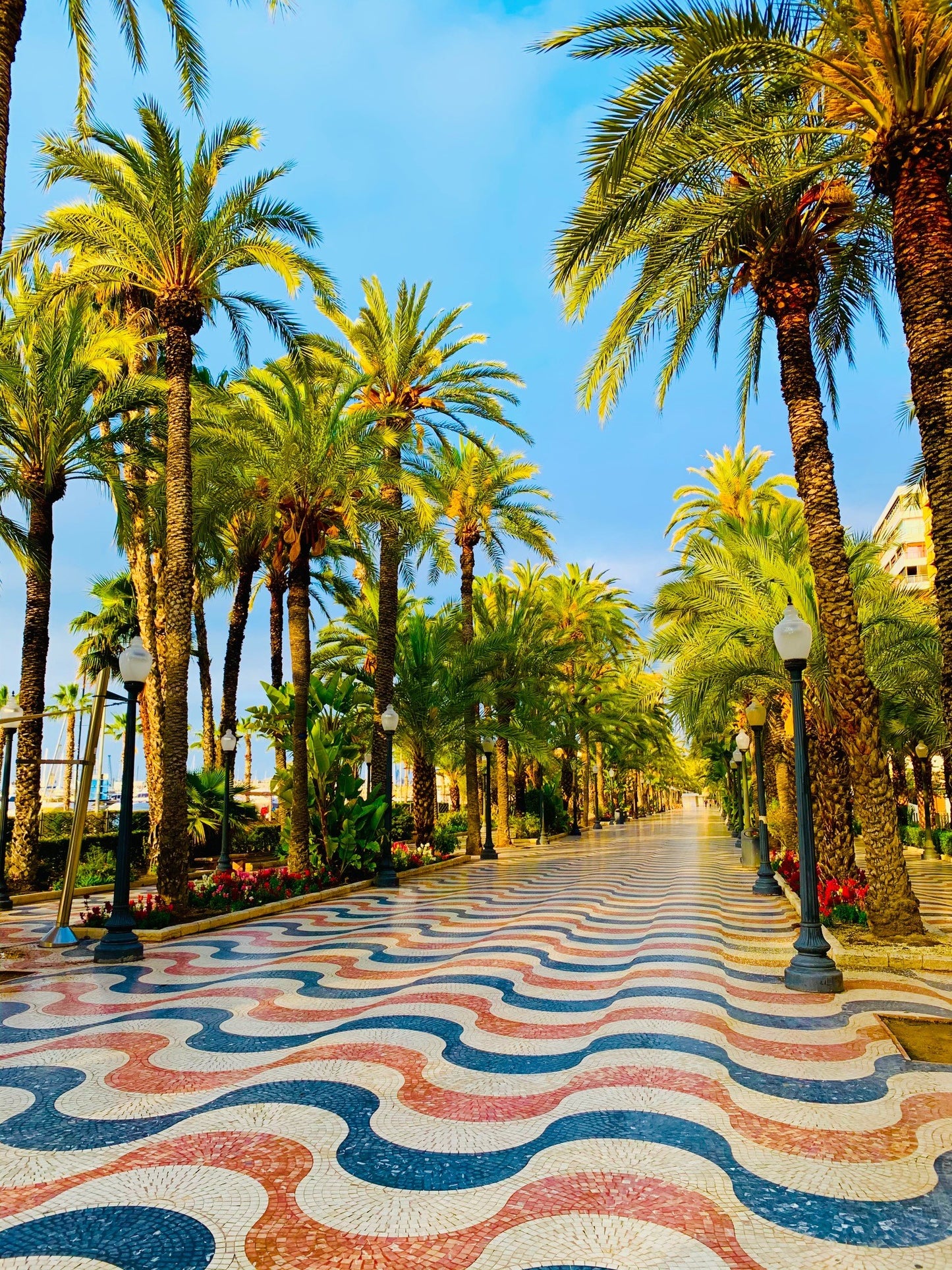 Casas Trafalgar, Alicante