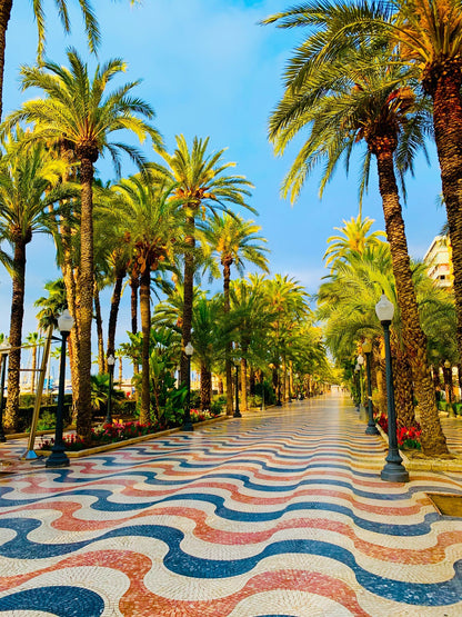 Casas Trafalgar, Alicante
