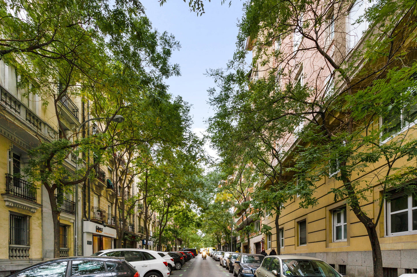 Diseño y confort en Madrid - Barrio Salamanca, Madrid