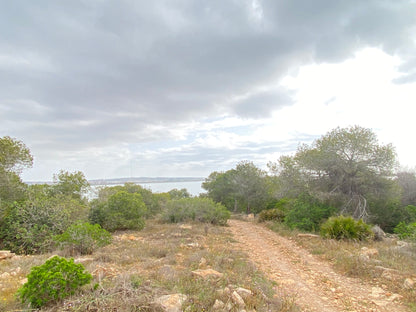 Flamingo Lagoon, Torrevieja